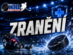 Zran�n�
